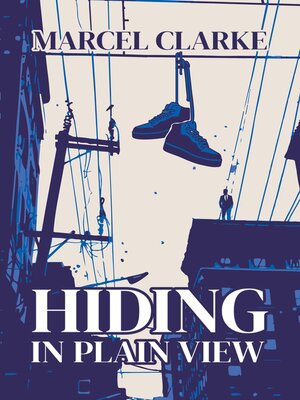 cover image of Hiding in Plain View